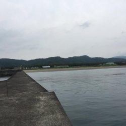 夏の風物詩マゴチ！